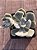 Echeveria pulvinata frost - Imagem 3
