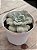 Echeveria red marble variegata - Imagem 3