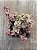 Crassula pellucida rubra - Imagem 3