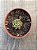 Echeveria swallow - Imagem 3