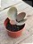 Kalanchoe orgyalis (colher de cobre) - Imagem 2