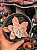 Echeveria albicans - Imagem 1