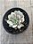 Echeveria ben badis variegata - Imagem 3