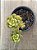 Echeveria techno agua blanca - Imagem 3