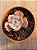Echeveria pollux monstruosa - Imagem 3