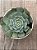 Echeveria el encino - Imagem 3