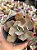 Echeveria chantilly variedade - Imagem 1