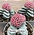 Crassula morgan’s beauty - Imagem 2