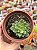 Echeveria Green emerald - Imagem 1