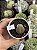 Lithops 06 - Imagem 1