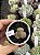 Lithops 09 - Imagem 1