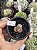 Lithops 10 - Imagem 1