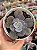 Echeveria rosaura - Imagem 1
