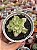 Echeveria ginmei tennyo variegata (importada) - Imagem 1