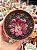 Aeonium chanel - Imagem 1