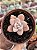 Echeveria valentina rose - Imagem 1