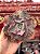 Echeveria pink blush (corte) - Imagem 1