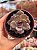 Echeveria homage - Imagem 1