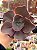 Echeveria híbrida M31 - Imagem 1