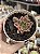 Aeonium sweet tea (01) - Imagem 1