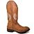 Bota Texana Feminina TS Camel Asa Sola de Couro Bico Quadrado - Imagem 3