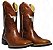 Bota Texana Bull Bear Bico Quadrado - Imagem 1
