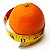Citrus Aurantium 500mg extrato da laranja amarga - Imagem 1
