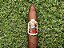 Charuto Diogenes Puente Patricias Detalhes Habano - Petaca com 4 - Imagem 3