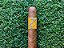 Charuto Zino Nicarágua Robusto - Caixa com 25 - Imagem 4