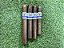 Charuto Don Blend Linea Classica Robusto - Unidade - Imagem 3