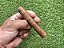 Charuto Monte Pascoal Short Robusto - Unidade - Imagem 2