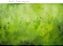 Fundo Fotográfico Cenário Textura Verde - Imagem 1
