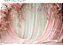 Fundo Fotográfico Sublimado cortinas e rosas - Imagem 1