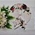 Suplat 8 Capas + 8 Bases Mdf + 8 Guardanapos Floral Estampa 6 - Imagem 1