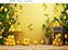 Fundo Fotográfico  Limões Fundo Amarelo - Imagem 1