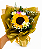 1 Girassol - Imagem 3