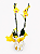 Orquídea - Imagem 2