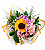 1 Girassol - Imagem 2