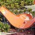 Thermas dos Laranjais | ESTUDANTES - Imagem 13
