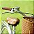 Tela Bike And Basquet Colorido - Imagem 1