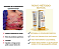 Creme Botox Natural à Base de Veneno de Abelha - Imagem 5