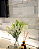 Revestimento Pedra Natural - Lizzano 5x20cm e 10x20cm - 1m² (Quartzito Branco / São Tomé Branca) - Imagem 9