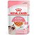 Royal Canin Sachê Jelly Filhotes Kitten para Gatos Filhotes - Imagem 1