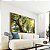 Quadro Árvores e Céu de Floresta Folhas Sol Canvas Com Moldura - Imagem 5