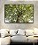 Quadro Horizontal Copa de Árvore Folhas Verdes Tronco Céu Paisagem Canvas Com Moldura - Imagem 3