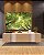 Quadro Horizontal Céu de Floresta Folhas Verdes Galhos Paisagem Natureza Canvas Moldura - Imagem 3