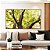 Quadro Horizontal Floresta Árvores Folhas Verdes e Claridade do Sol Arte Canvas Moldura - Imagem 2