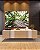 Quadro Horizontal Árvore Folhas Verdes Trono Céu Claro Canvas Moldura - Imagem 1