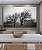 Quadro Horizontal Árvores em Preto e Branco Natureza Arte Canvas Moldura - Imagem 2