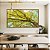 Quadro Horizontal Árvore com Folhas Verde Claro e Céu Limpo Turquesa Arte Canvas Moldura - Imagem 3
